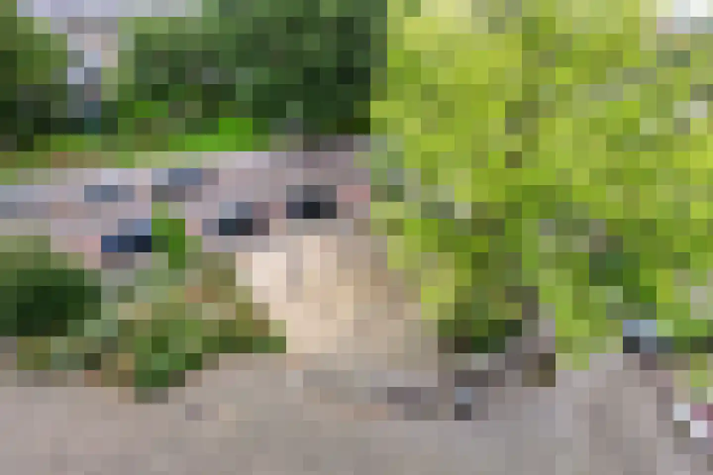 Commelinstraat 239 Amsterdam thumbnail 4