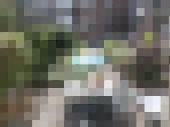 Commelinstraat 298 Amsterdam thumbnail 4