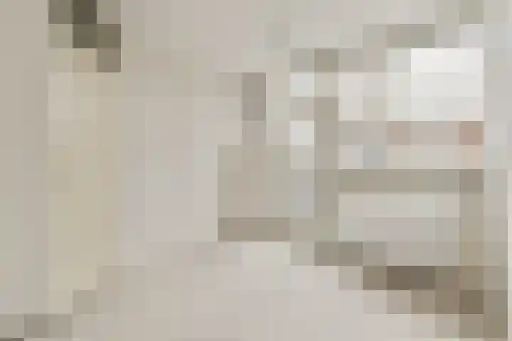 Commelinstraat 302 Amsterdam thumbnail 12