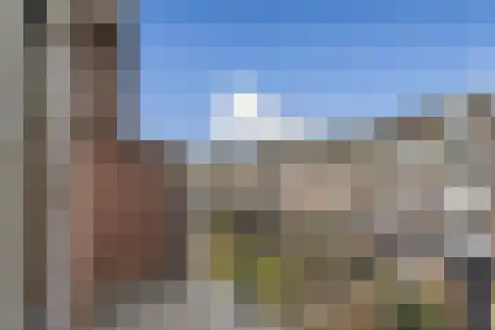 Commelinstraat 302 Amsterdam thumbnail 15