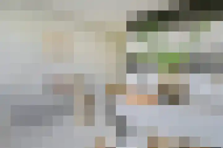 Commelinstraat 302 Amsterdam thumbnail 33