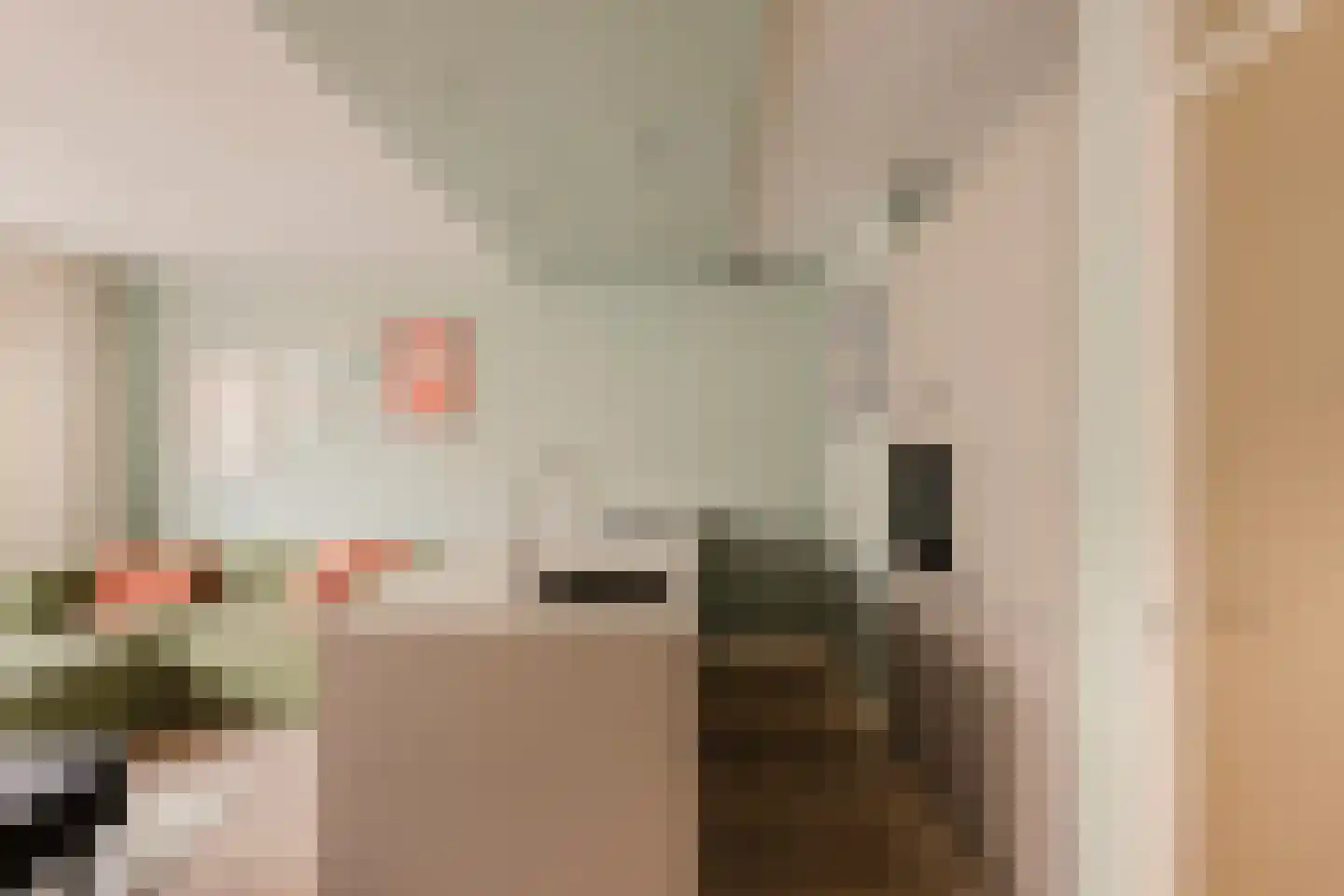 Commelinstraat 304 Amsterdam thumbnail 10