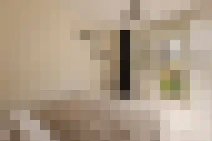 Commelinstraat 304 Amsterdam thumbnail 11
