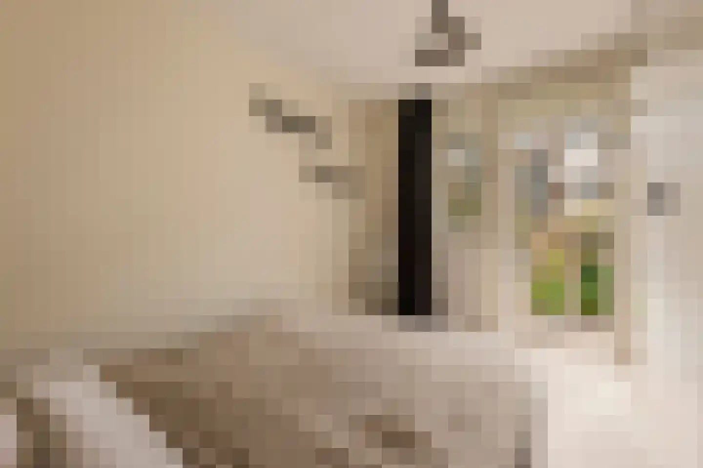 Commelinstraat 304 Amsterdam thumbnail 12