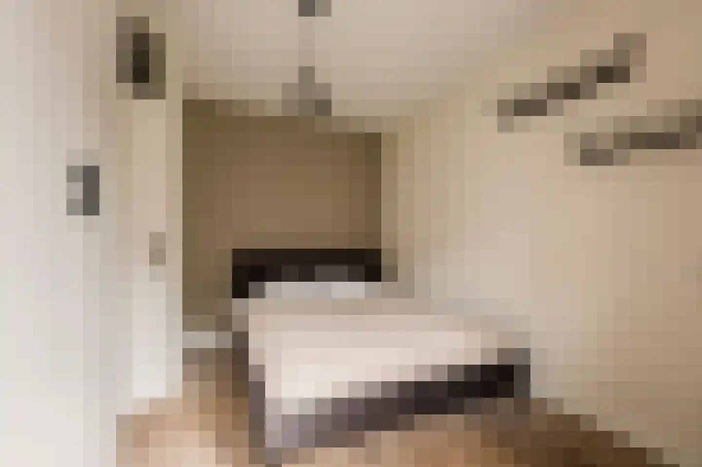 Commelinstraat 304 Amsterdam thumbnail 12