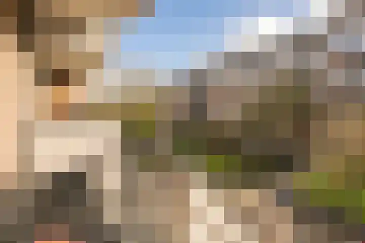 Commelinstraat 304 Amsterdam thumbnail 12