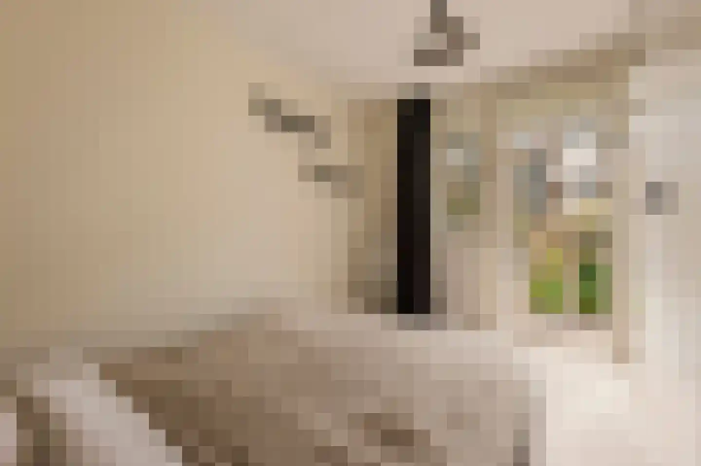 Commelinstraat 304 Amsterdam thumbnail 13