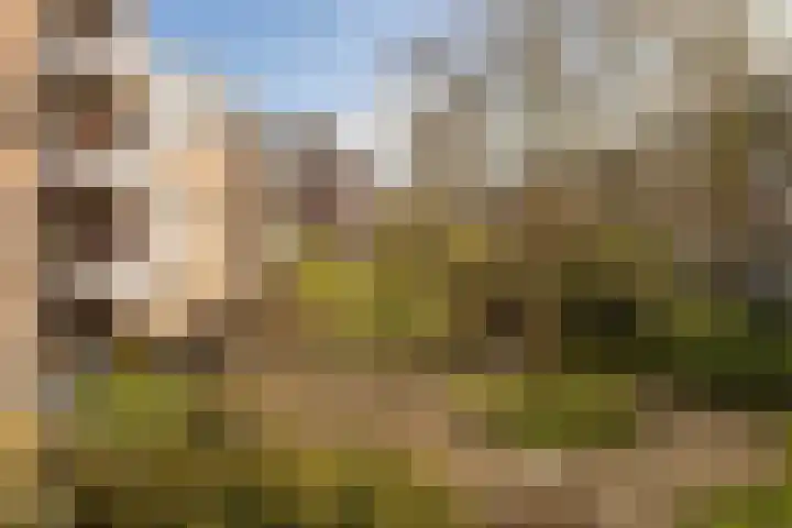 Commelinstraat 304 Amsterdam thumbnail 14