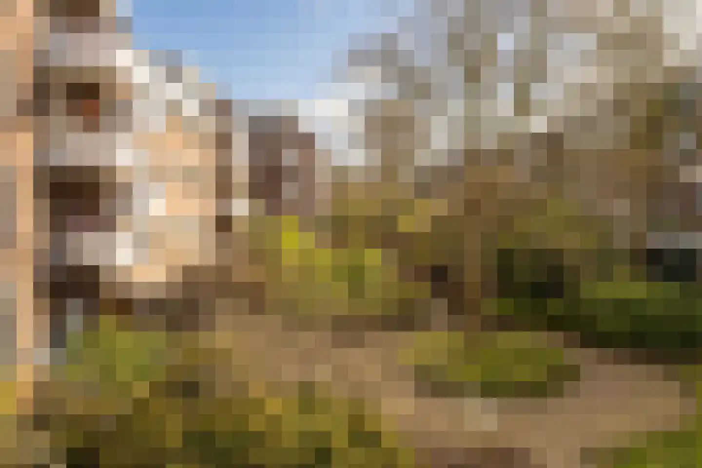 Commelinstraat 304 Amsterdam thumbnail 15