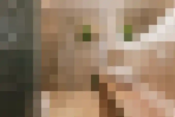 Commelinstraat 304 Amsterdam thumbnail 15