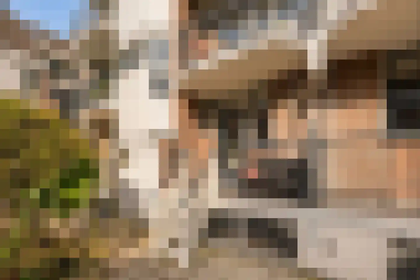 Commelinstraat 304 Amsterdam thumbnail 16