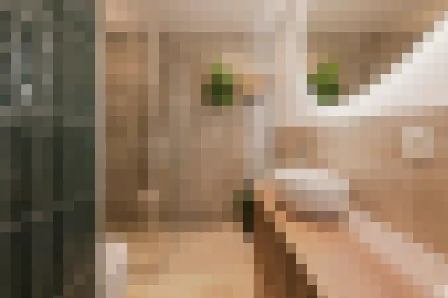 Commelinstraat 304 Amsterdam thumbnail 16