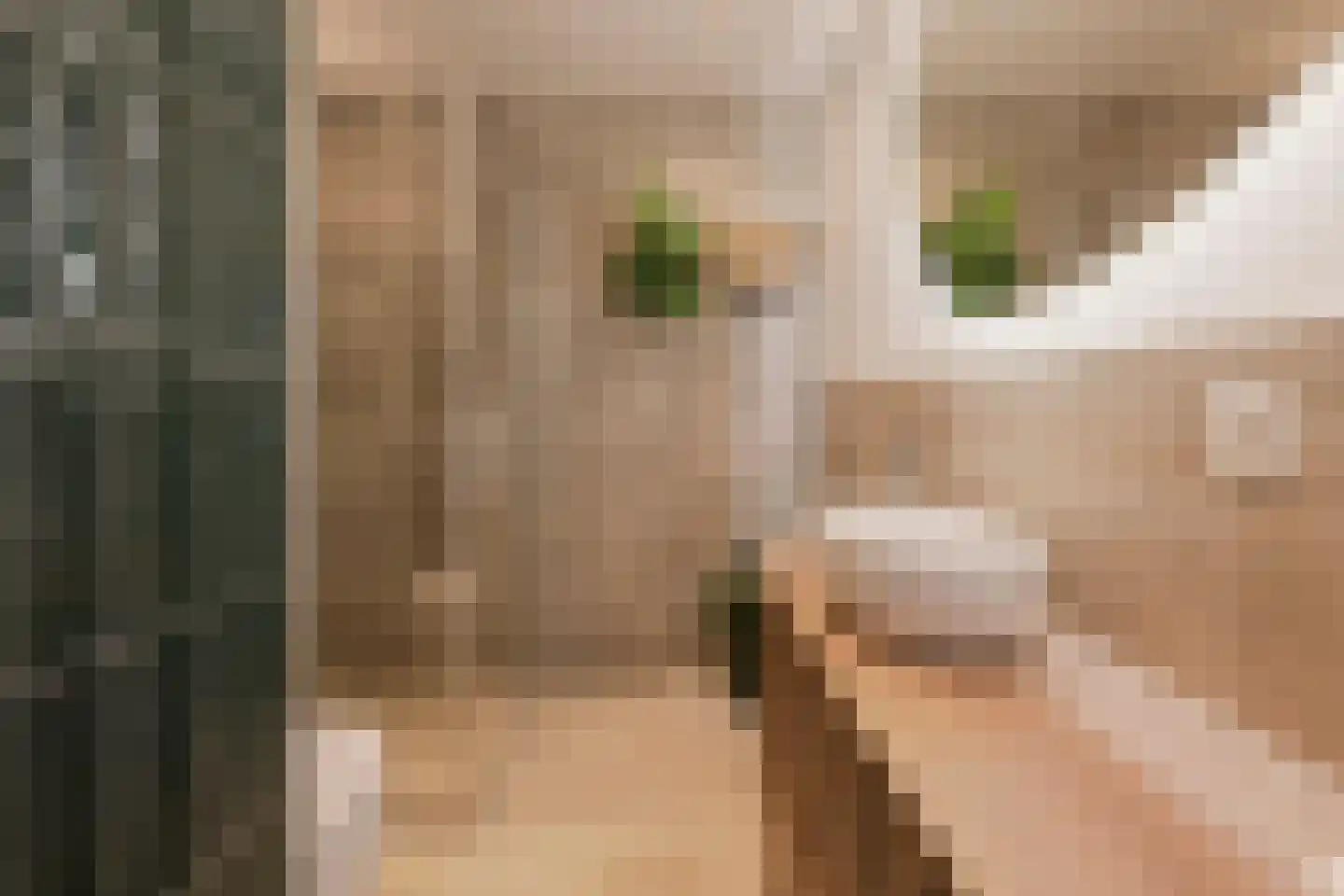 Commelinstraat 304 Amsterdam thumbnail 17
