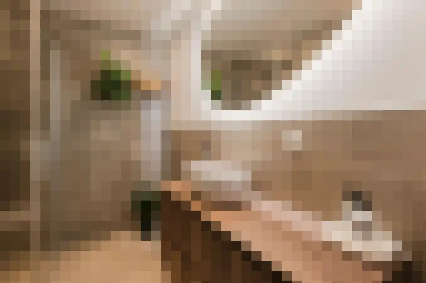 Commelinstraat 304 Amsterdam thumbnail 19