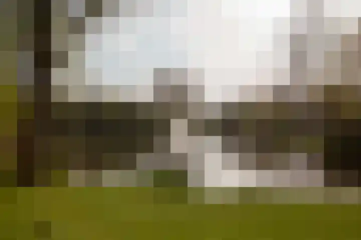 Commelinstraat 304 Amsterdam thumbnail 20