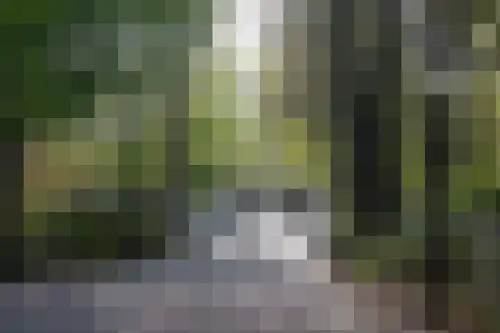 Commelinstraat 304 Amsterdam thumbnail 21