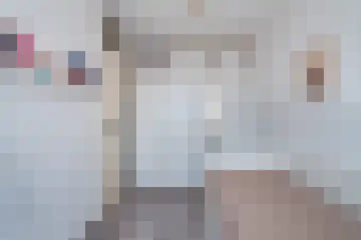 Commelinstraat 304 Amsterdam thumbnail 22