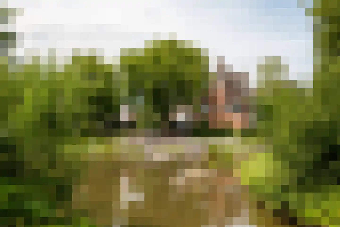Commelinstraat 304 Amsterdam thumbnail 24