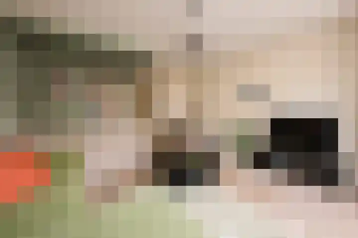 Commelinstraat 304 Amsterdam thumbnail 4