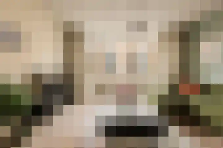 Commelinstraat 304 Amsterdam thumbnail 5