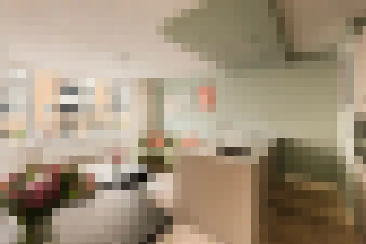 Commelinstraat 304 Amsterdam thumbnail 9