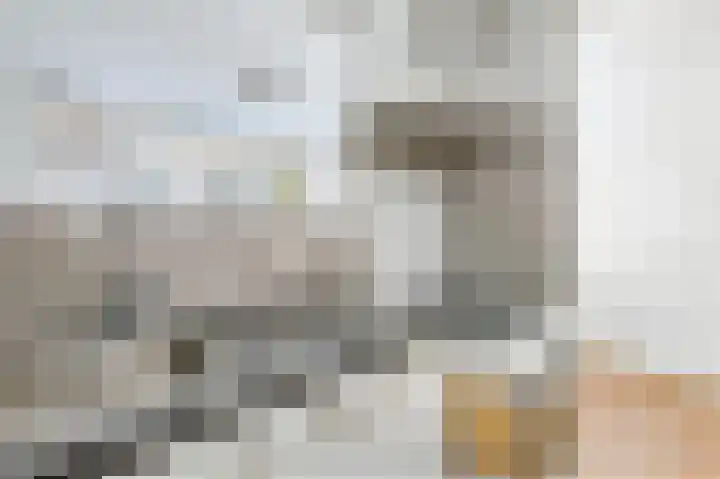 Commelinstraat 310 Amsterdam thumbnail 12