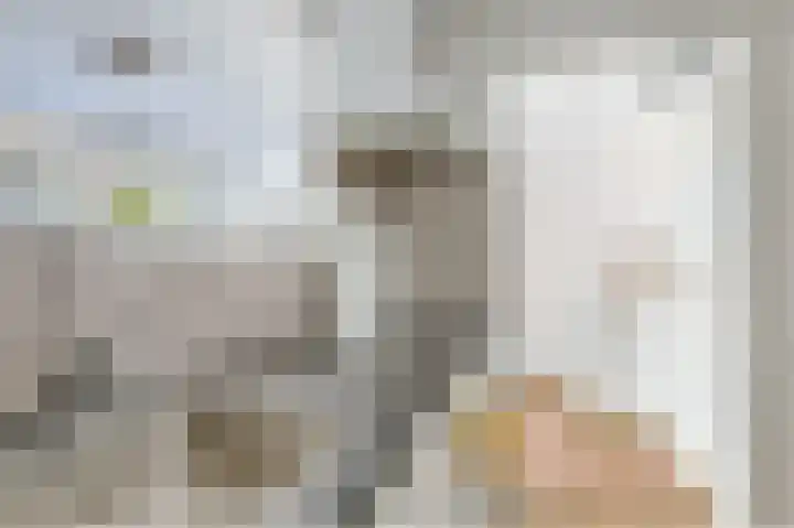 Commelinstraat 310 Amsterdam thumbnail 13