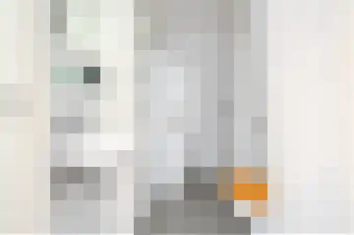 Commelinstraat 310 Amsterdam thumbnail 15