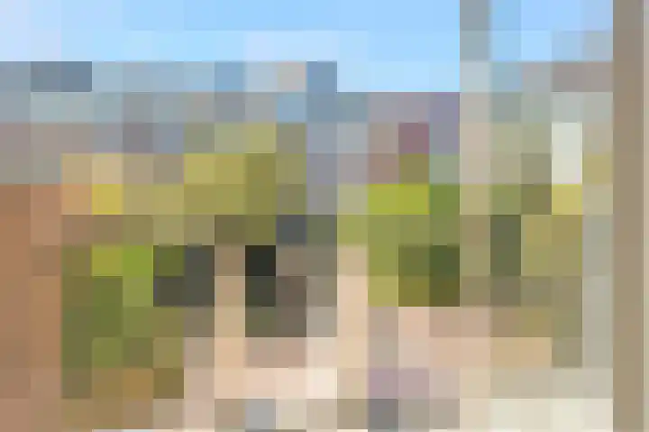 Commelinstraat 310 Amsterdam thumbnail 24