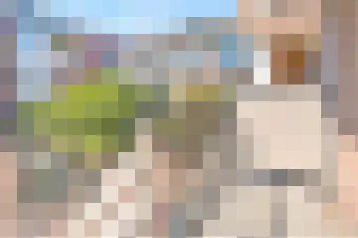 Commelinstraat 310 Amsterdam thumbnail 25