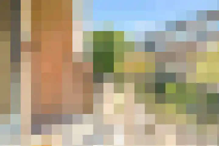 Commelinstraat 310 Amsterdam thumbnail 26
