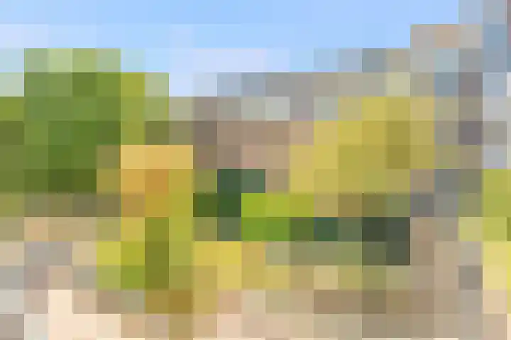 Commelinstraat 310 Amsterdam thumbnail 27