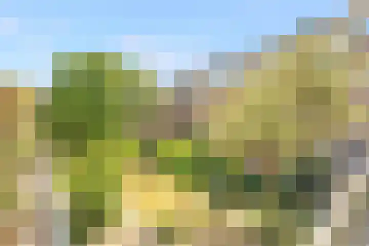 Commelinstraat 310 Amsterdam thumbnail 29
