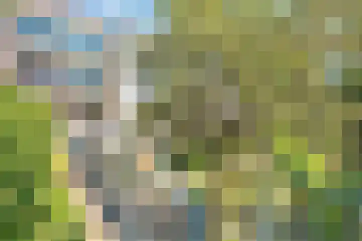 Commelinstraat 310 Amsterdam thumbnail 30