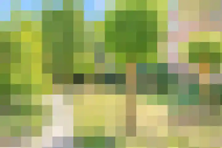 Commelinstraat 310 Amsterdam thumbnail 31