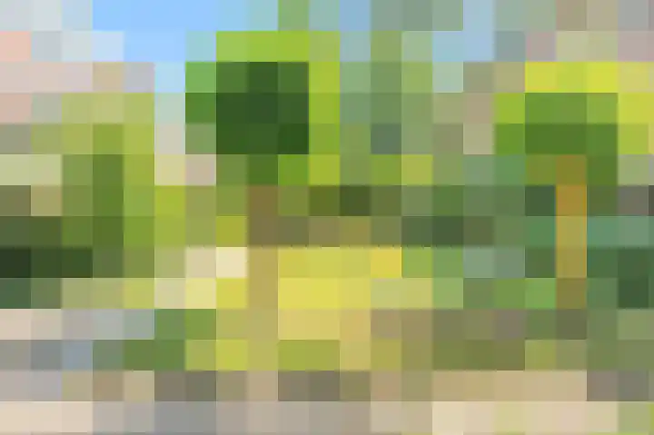 Commelinstraat 310 Amsterdam thumbnail 32