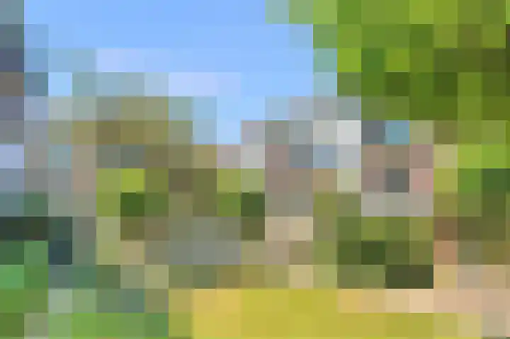 Commelinstraat 310 Amsterdam thumbnail 33