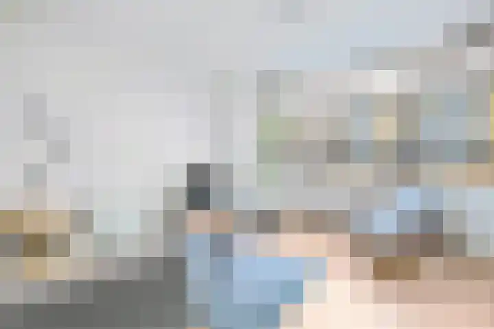 Commelinstraat 310 Amsterdam thumbnail 4