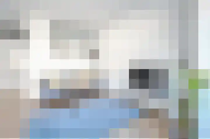 Commelinstraat 310 Amsterdam thumbnail 6