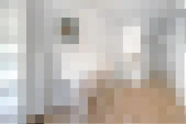 Commelinstraat 310 Amsterdam thumbnail 8