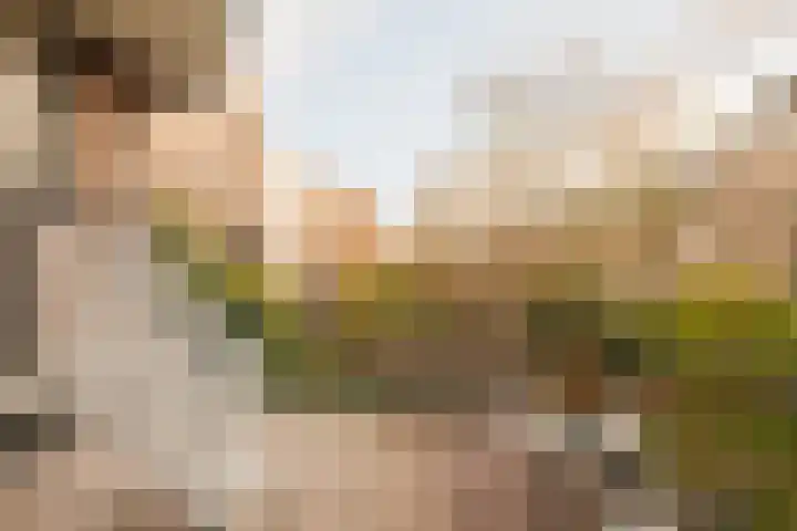 Commelinstraat 316 Amsterdam thumbnail 13
