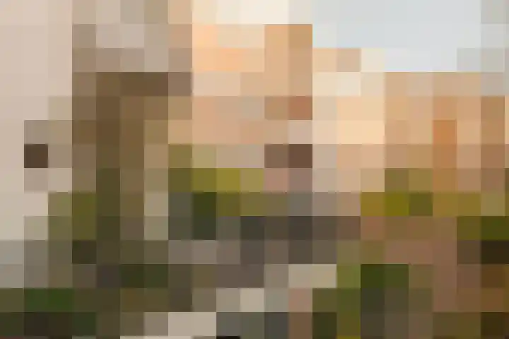 Commelinstraat 316 Amsterdam thumbnail 14