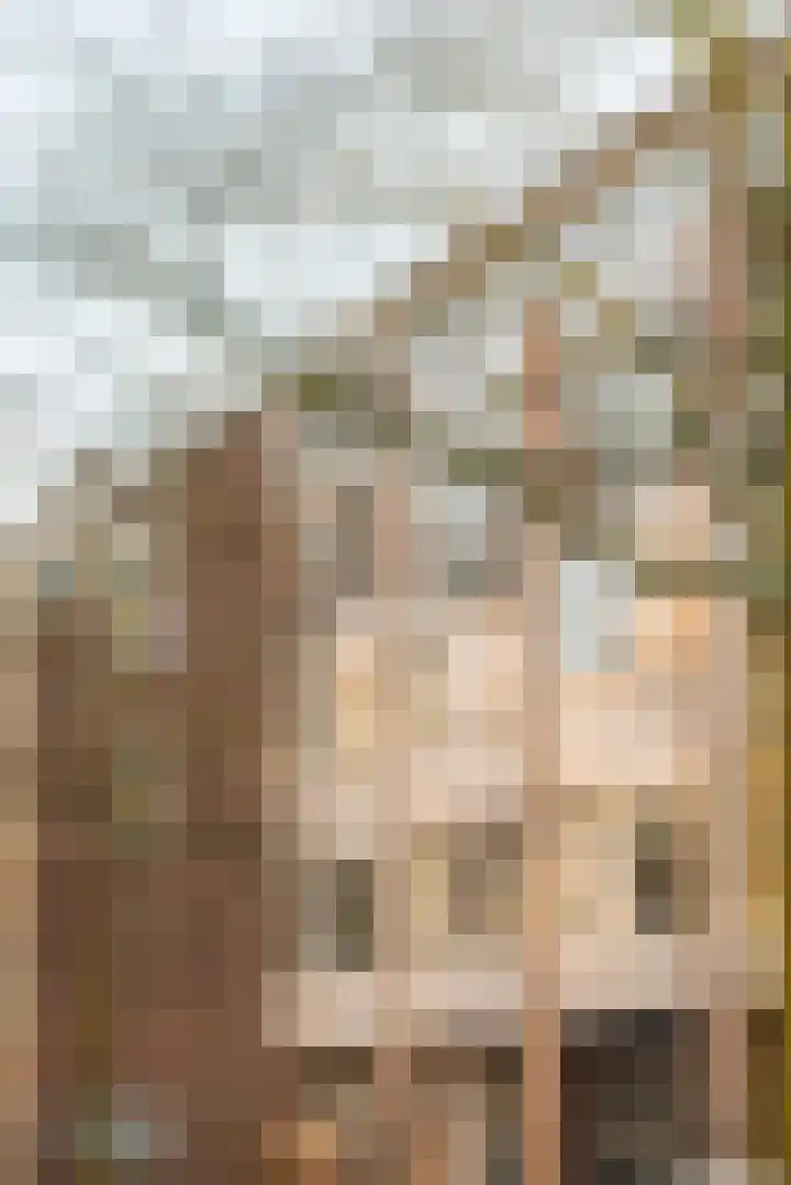 Commelinstraat 316 Amsterdam thumbnail 19