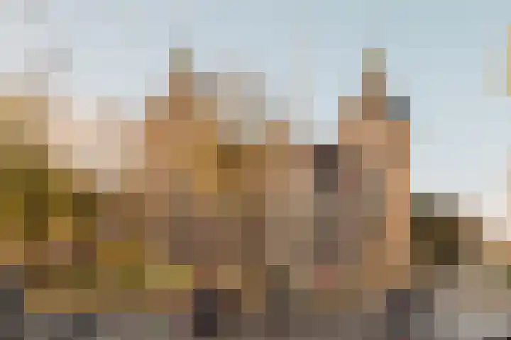 Commelinstraat 316 Amsterdam thumbnail 22