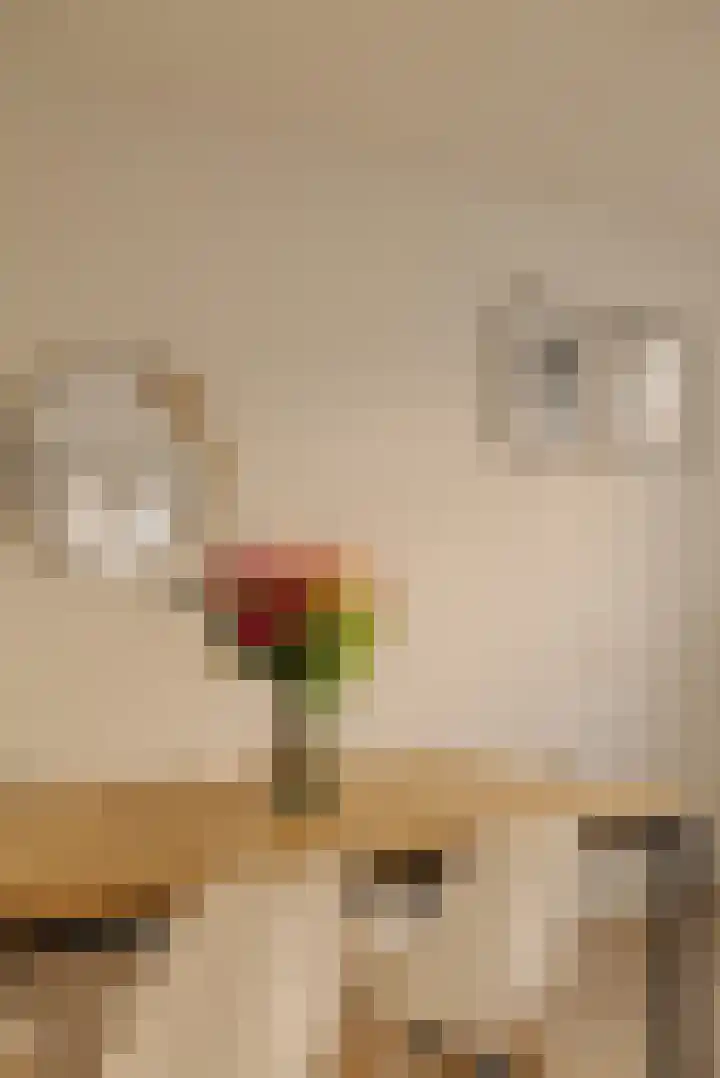 Commelinstraat 316 Amsterdam thumbnail 7