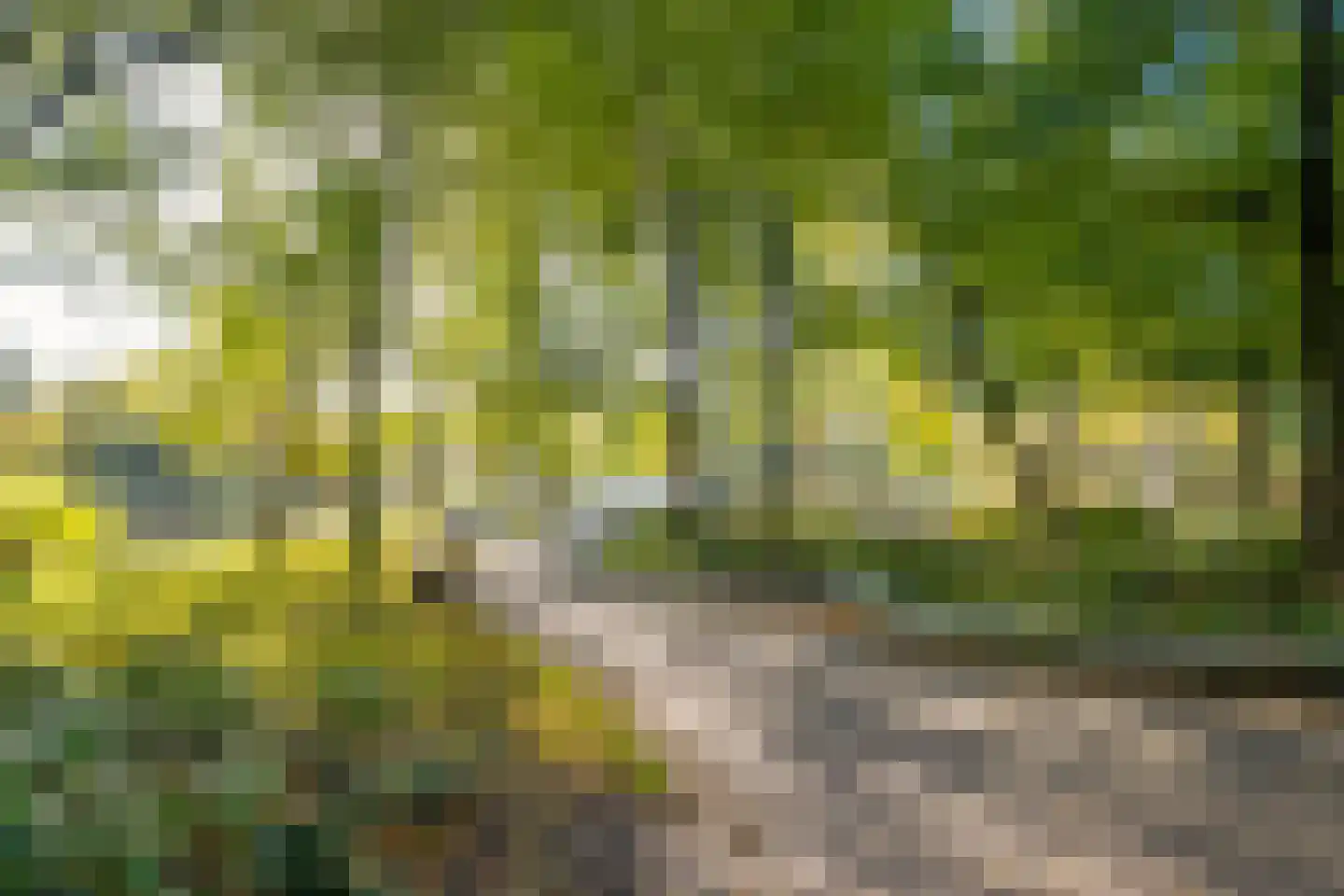 Commelinstraat 33 2 Amsterdam thumbnail 22