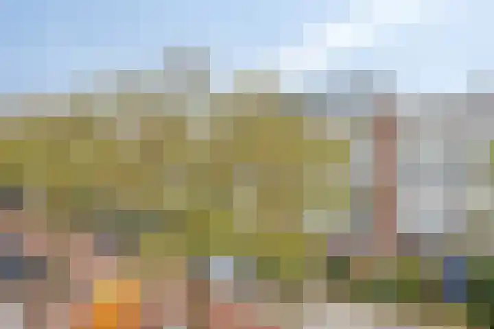 Commelinstraat 33 2 Amsterdam thumbnail 26