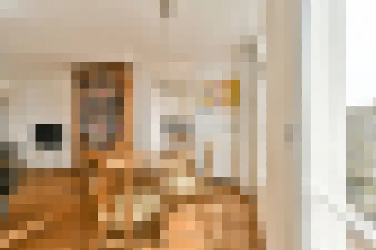 Commelinstraat 33 3 Amsterdam thumbnail 4