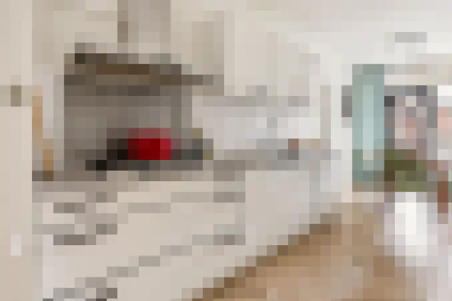 Commelinstraat 358 Amsterdam thumbnail 11