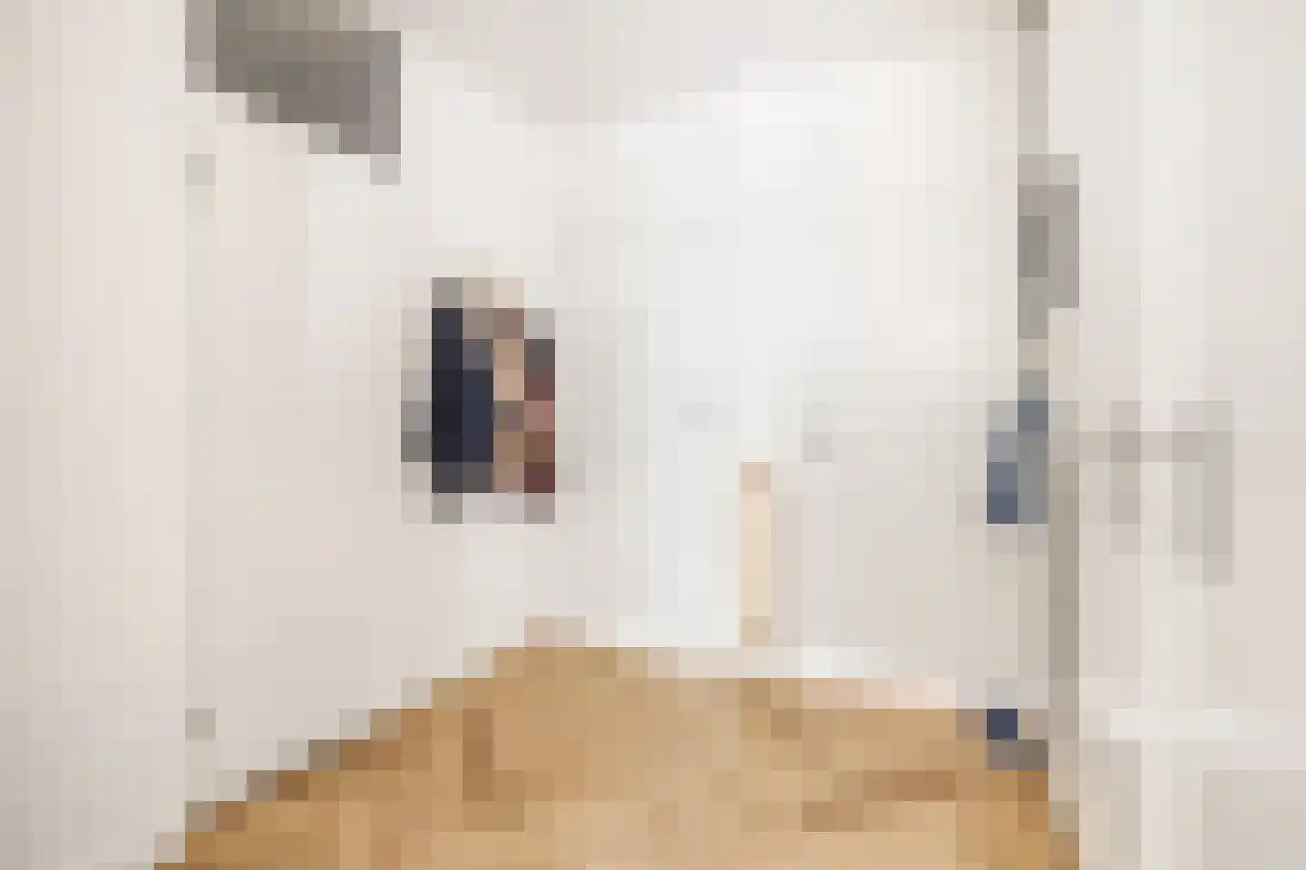 Commelinstraat 358 Amsterdam thumbnail 19